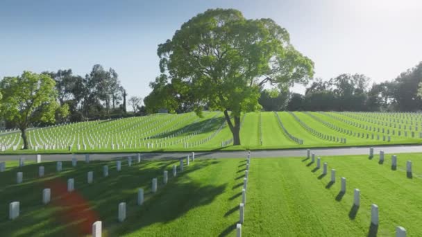 墓碑纪念在美国加州洛杉矶国家公墓的美国老兵 空中俯瞰着广阔的坟场 绿油油的田野 有一排军人的白色墓牌4K — 图库视频影像