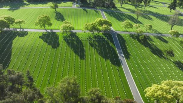 Amerikansk Krigskyrkogård Westwood Los Angeles Kalifornien Usa Med Rader Gravstenar — Stockvideo