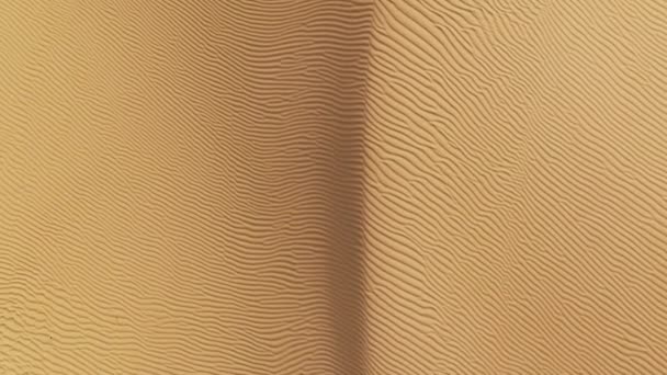 Vliegen Kromme Zandduinen Met Rimpelend Zand Textuur Oppervlak Bij Warm — Stockvideo