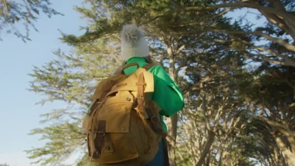 Altın Gündoğumunda Selvi Ormanında Yürüyüş Yapan Genç Bir Kadın Sırt — Stok video