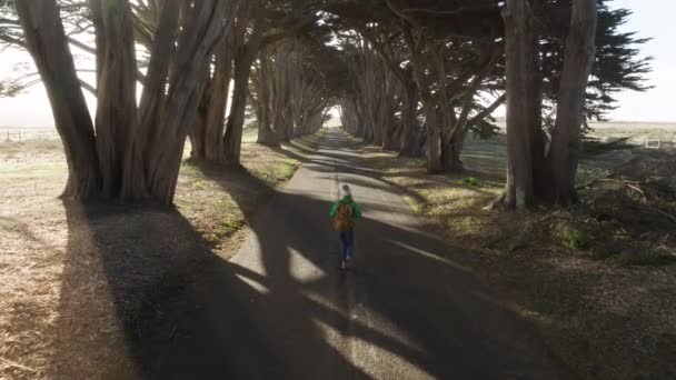 Visão Traseira Menina Mochileiro Feliz Jovem Caminhando Beco Árvore Cipreste — Vídeo de Stock
