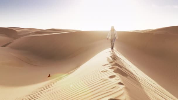 在金色落日的背景下 女旅行家在沙丘上漫步 动作缓慢 4K无人驾驶飞机拍摄的女游客带着金黄色镜头从沙漠自然景观中走过 — 图库视频影像