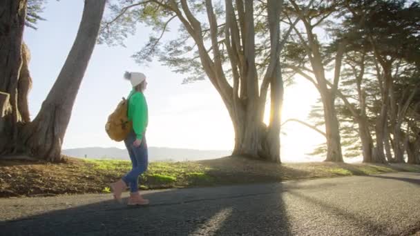 Güneşin Parlamasıyla Sisli Gündoğumunda Selvi Ağacında Yürüyüş Yapan Mutlu Genç — Stok video
