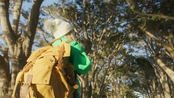 Sırt Çantalı Selvi Ağacında Yürüyen Sağlıklı Beyaz Bir Kadın Dişi — Stok video