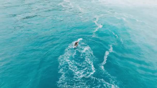 Hawaii Sörf Yapan Sörfçüleri Sörf Tahtasıyla Dalgalara Götüren Tehlikeli Bir — Stok video