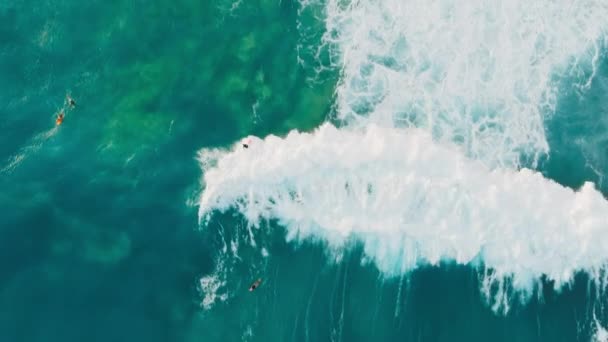 Plan Vertical Pour Contenu Mobile Des Surfeurs Courageux Attrapant Grandes — Video