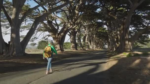 Ağaçların Arasından Parlayan Güzel Bir Işıkla Birlikte Altın Güneş Doğumlu — Stok video