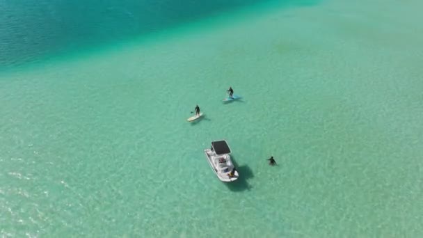 Aerial Young Tourists Stand Paddling Vacation Tourists Enjoying Water Sport — Stock Video