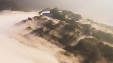 Dağ tepesindeki sisli ormanın üzerinde gün doğumu. Sabahın erken saatlerinde çam ormanlarında uçan muhteşem bir insansız hava aracı. Altın gün ışığında ağaçların arasında süzülen sihirli sis. Hava görüntüsü 4K zaman atlaması Kaliforniya