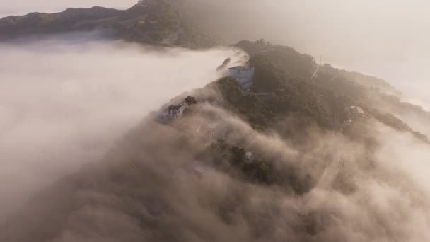 在加州圣莫妮卡山脉上空 天空中的日出 雾气弥漫 太阳升起在山顶的云雾密林之上 在电影般的金色阳光下 树木间飘扬着神奇的雾气 — 图库视频影像