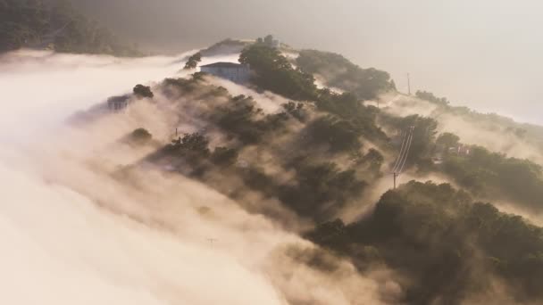 太阳升起在山顶的云雾密林之上 清晨无人驾驶飞机在松林上空盘旋 令人惊奇 在金色的阳光下 神奇的雾气漂浮在树之间 空中射击4K时差加利福尼亚 — 图库视频影像