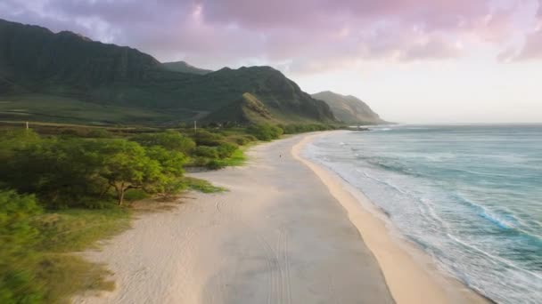 観光客は 日没でマクアビーチを探索します オアフ島ハワイ 映画の海岸線を歩く旅行者 緑の火山の山で劇的な海の海岸の上の空中 幸せな夏休みの背景 — ストック動画