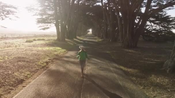 Kvinna Vandring Road Trip Äventyr Dimmig Morgon Flyg Cypress Träd — Stockvideo