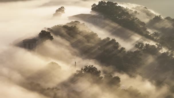 电影中的金色日出在雾蒙蒙的云雾中闪烁着 从森林山4K空中俯瞰而下 美丽的自然背景 浓密的雾笼罩在山顶的树梢之间 — 图库视频影像