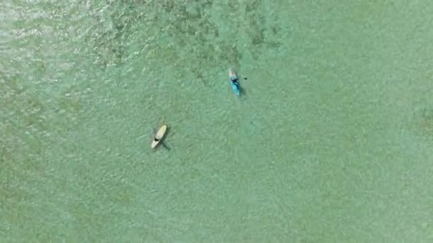 Drone Video Kvinder Padle Bord Lavvandede Farvande Oahu Hawaii Usa – Stock-video