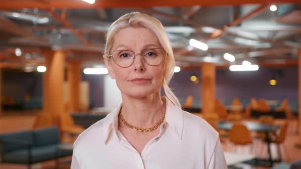 Självsäker Kvinnlig Kontorsarbetare Bär Läsglasögon Vid Konferensvideosamtal Tittar Bärbar Dator — Stockvideo