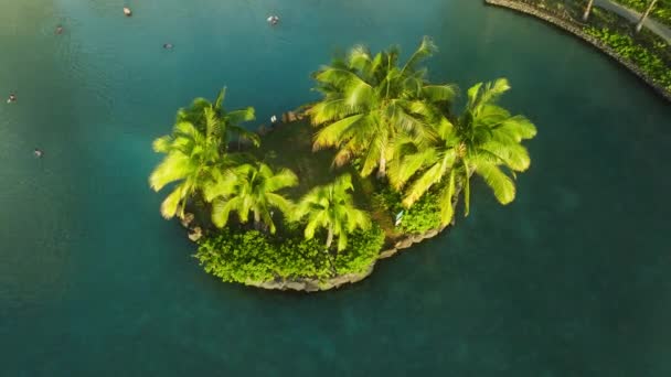 Gente Vacaciones Relaja Hawaii Playa Vista Superior Isla Tropical Vista — Vídeos de Stock