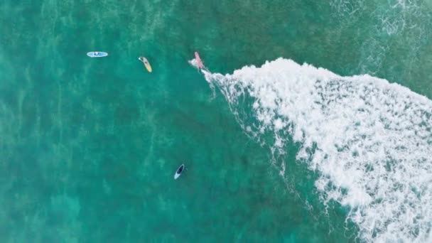 华胡岛周末户外运动 俯瞰男人在清澈浅水中冲浪的景象 美国夏威夷岛Kailua湾美丽的淡蓝色海水中 人们喜爱水上运动 — 图库视频影像