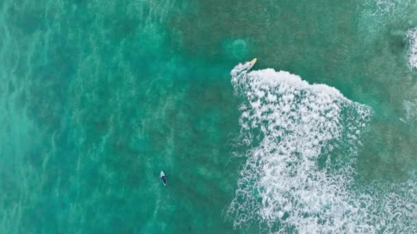 澄んだ浅い海でサーフィンする男性のオーバーヘッドビュー ハワイ島カイルア湾の美しいティールブルーの海でウォータースポーツを楽しむ人々 週末の屋外ウォーターアクティビティ オアフ島 — ストック動画