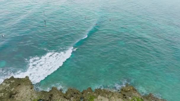 美国夏威夷岛凯拉乌湾美丽的淡蓝色海水中 人们享受着水上运动的乐趣 华胡岛周末户外运动 男子在清澈浅水中冲浪的俯视图 — 图库视频影像