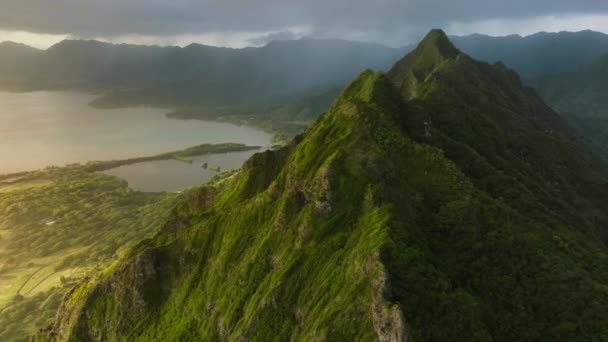 风景秀丽的瓦胡岛海岸 有着美丽的火山山脊 令人难以置信的绿树成荫的奇形怪状的山峰在海洋海岸上 金黄色日出时的夏威夷自然景观 — 图库视频影像