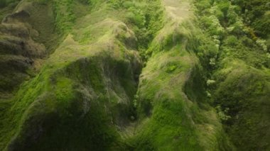 Metin arkaplanı olan destansı yeşil yüksek keskin tepeler. Dik yeşil uçurumlarda parlayan altın güneş ışınları güneşli bir manzara. Hawaii, Oahu adasında nefes kesici bir Hawaii doğası. Büyülü yeşil dağ sırtı