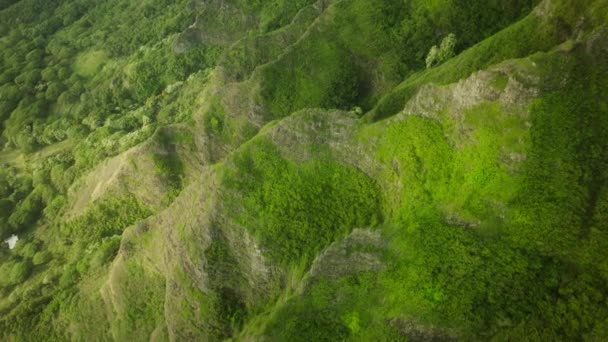 金色的阳光照耀在陡峭的绿色悬崖峭壁上 在夏威夷岛的瓦胡岛上呼吸夏威夷的自然 神奇的绿色山脊 带文本空间背景的史诗绿色高尖峰 — 图库视频影像