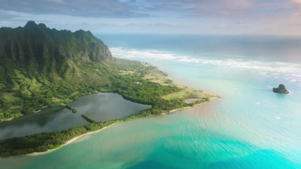 ハワイ州オアフ島のKualoa Ranchで青い海を教えてください 緑のジャングルの山の頂上を飛ぶ美しい自然ドローンは 熱帯のビーチ4Kを明らかにします 息をのむような空の景色劇的な山々 — ストック動画