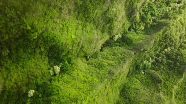 Impresionante Naturaleza Hawaii Oahu Isla Hawaii Cerro Montaña Verde Mágico — Vídeo de stock