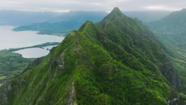 Ранчо Куалоа Острові Оаху Літні Надихаючі Пейзажі Мальовничі Зелені Вершини — стокове відео