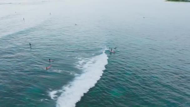 Surfers Leren Aan Boord Staan Peddel Boarders Oefenen Drone Vliegt — Stockvideo