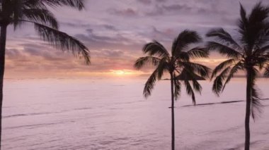 Tropikal kumsal manzaralı palmiye ağaçları gökyüzünde sinematik bulutlarla altın bir gün doğumu. Yüksek palmiye yapraklarında uçan hava kulesi, tropik Oahu adasında el değmemiş bir plaj. Hawaii turizmi.