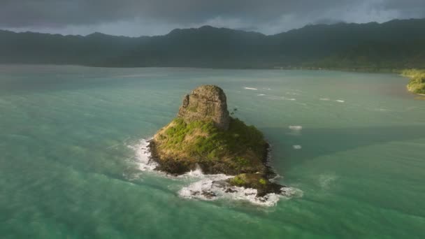 Tropikalna Wyspa Oahu Widok Lotu Ptaka Piękne Wybrzeże Hawajów Świeżym — Wideo stockowe