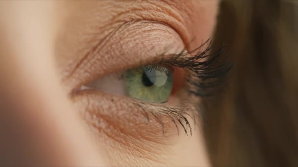 Side View Young Woman Incredible Light Green Eyes Close Shot — Vídeos de Stock