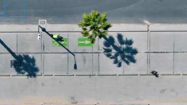 Вид Сверху Активного Человека Велосипеде Дороге Санта Моника Лос Анджелес — стоковое видео