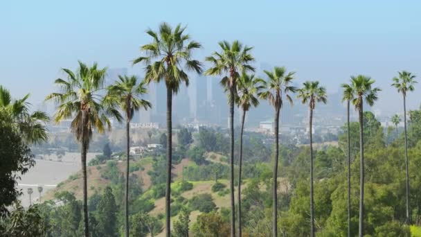 カリフォルニアの晴れた日の青空の下のロサンゼルスの街並みの美しい景色の都市風景 アメリカンシティパノラマビューの自然公園で世界的に有名な壮大な背の高い緑のヤシの木 — ストック動画