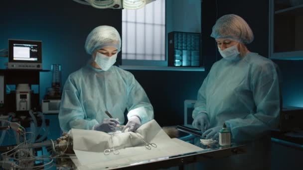 Chirurgiens Vétérinaires Effectuant Une Opération Sur Chat Domestique Dans Clinique — Video