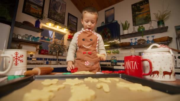 Netter Kleiner Junge Lebkuchenschürze Legt Plätzchen Auf Backblech Der Weihnachtsküche — Stockvideo