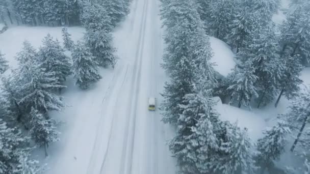 雪に覆われた森で車を運転する雪の白い冬 凍った森とバンを通る道 マンモス湖村4K 雪に覆われた冬の日の雪の吹雪の天気の航空眺め — ストック動画