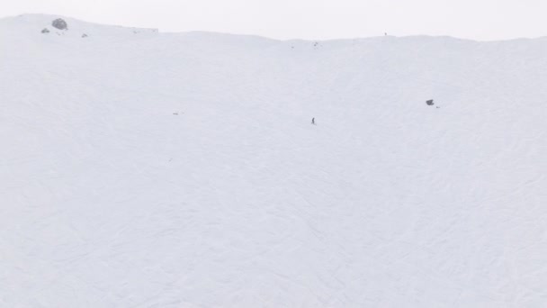 滑雪者在冰川滑雪场的陡坡上高速滑行 男子滑雪者在自由的猛犸湖山脉度假胜地全景 猛犸象度假胜地寒冷的冬日滑雪 — 图库视频影像