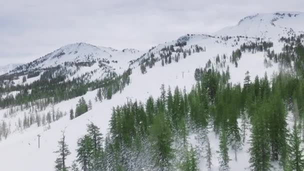 Naturpanorama Verschneiten Kalifornien Winterurlaub Antenne Usa Filmreifes Mammut Mountain Skigebiet — Stockvideo