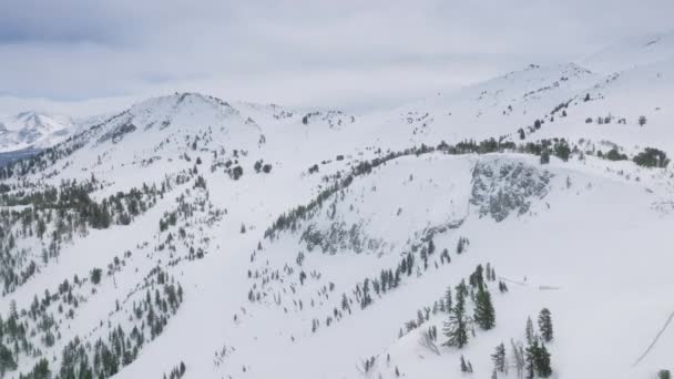 シネマティックマンモスマウンテンスキーリゾート 冬の美しい山の範囲は風景を刺激する エピック スノー コールド ピークのドローン映像 自然のパノラマ雪カリフォルニア ウィンターバケーション アメリカ — ストック動画