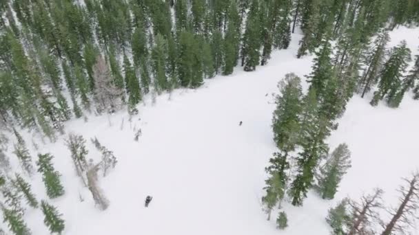 Luchtfoto Snowboarders Mammoth Lakes Resort Sierra Nevada Californië Verenigde Staten — Stockvideo