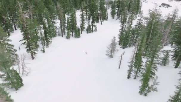 Tolle Aufnahme Von Bergen Als Mann Beim Skifahren Hinterland Der — Stockvideo