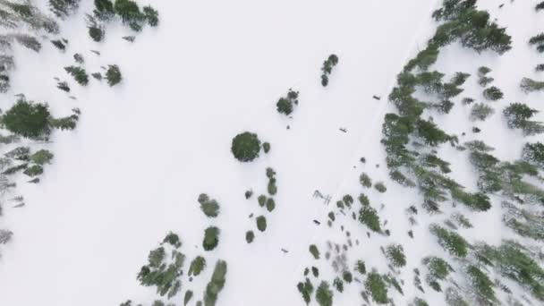 Blick Von Oben Auf Skilifte Schneebedeckter Berglandschaft Bei Trübem Wetter — Stockvideo