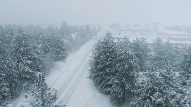 Snow Storm Mountain Village Mammoth Lakes Ski Resort Moody Winter — Stock Video