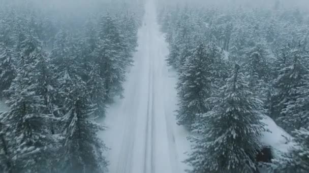 Autos Die Schneesturm Auf Einer Leeren Schneebedeckten Straße Fahren Gefährliche — Stockvideo