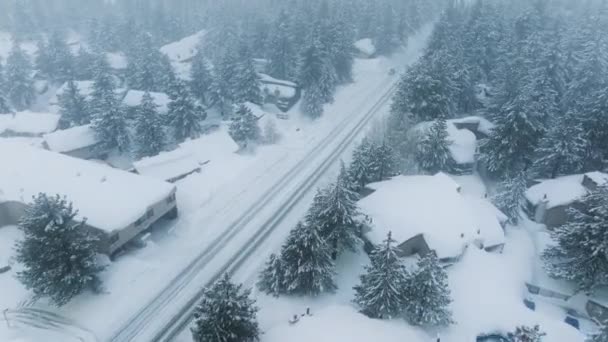 Jazda Samochodem Zimowej Drodze Wiejskiej Zaśnieżonym Lesie Powietrzny Samochód Przejeżdża — Wideo stockowe