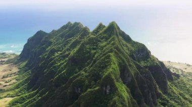 Yeşil Kualoa çiftlik tepelerinin üzerinde ABD turizmi 4K Epic hava sahası. Oahu adası helikopter manzaralı. Nefes kesici manzaralar. Güneşli yaz gününde Hawaii doğası. Açık hava macerası egzotik ada