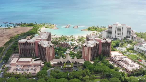 Palm Trees Exotic Travel Paradise Cinematic Aerial Luxury Beachfront Hotel — Stock Video